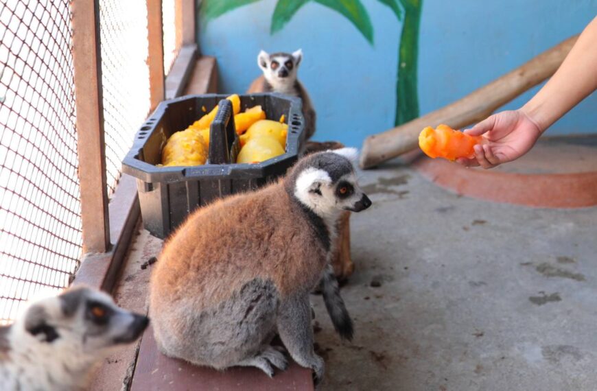 Amplía horario Zoológico de Nuevo Laredo para más diversión de los ciudadanos