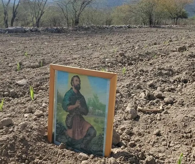 Campo de Tamaulipas, el tercero más afectado por la sequía en México: Inegi