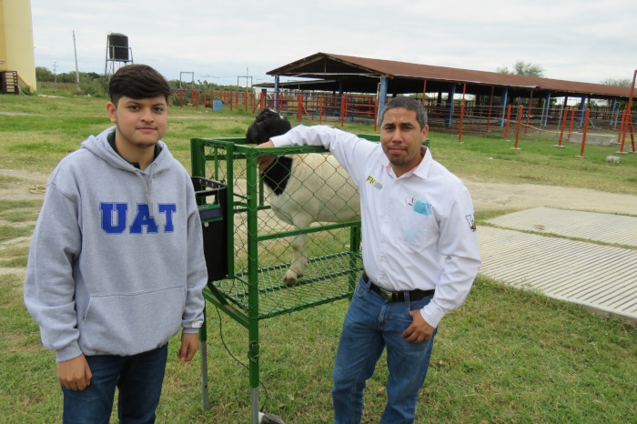 Estudiante de la UAT desarrolla innovador sistema de monitoreo de alimentación de borregos