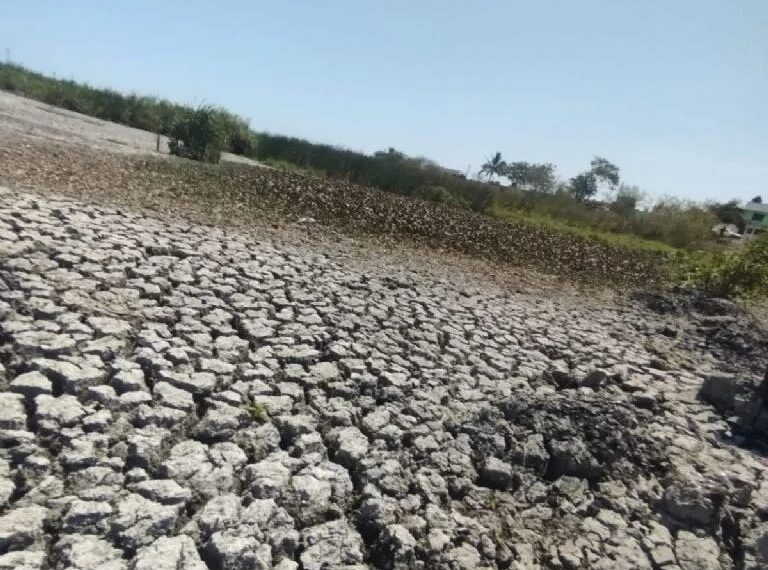 Sufren sequía 34 de los 43 municipios de Tamaulipas; 21 de ellos en grado extremo