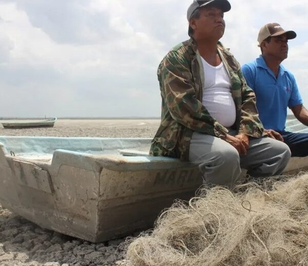 Cuatro municipios de Tamaulipas se encuentran en sequía excepcional