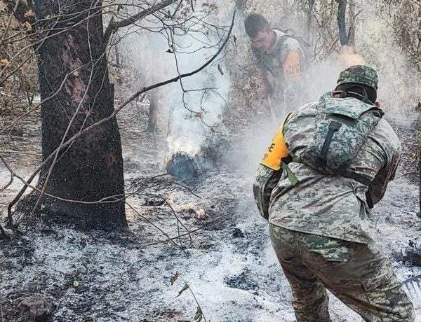 Aumentan a 500 las hectáreas afectadas por el incendio forestal descontrolado en Victoria