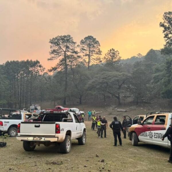 Integrantes de Plan Tamaulipas se suman al combate contra el incendio forestal en La Chona