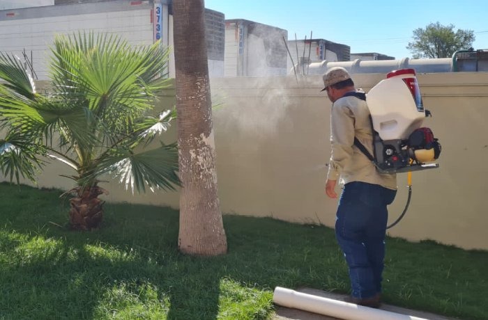 Suma Tamaulipas a la fecha 101 casos de dengue; refuerzan fumigación