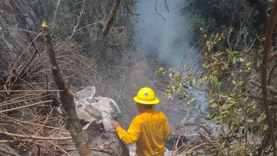 Van cerca de 1,500 hectáreas afectadas por incendio forestal en la sierra de Tamaulipas