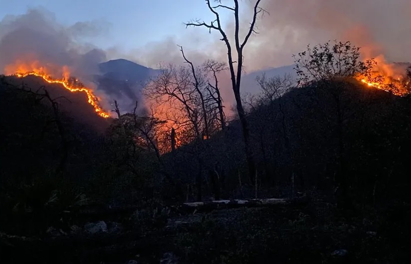 Aumentan a 500 las hectáreas afectadas por el incendio descontrolado en Victoria