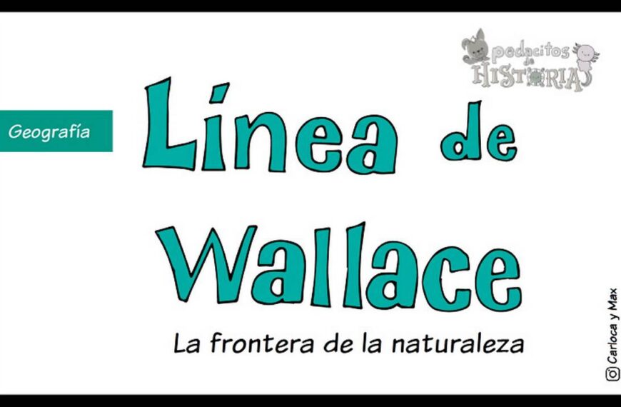 La “frontera” de la naturaleza: así funciona el extraño fenómeno de la línea de Wallace