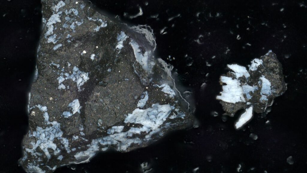 Muestra del asteroide Bennu revela que se pudo haber formado en un mundo oceánico