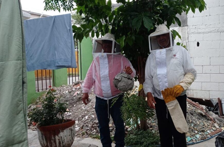 Apoya gobierno municipal emprendimiento de apicultores con enjambres rescatados