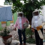 Apoya gobierno municipal emprendimiento de apicultores con…