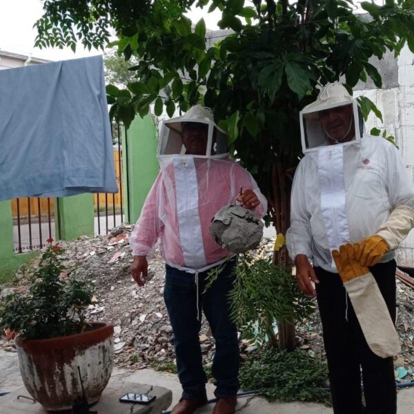 Apoya gobierno municipal emprendimiento de apicultores con enjambres…