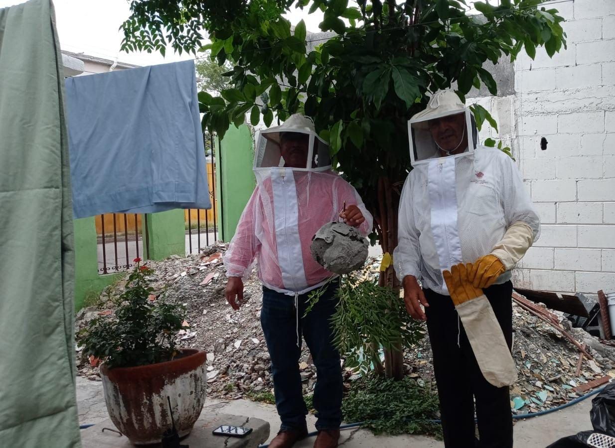 Apoya gobierno municipal emprendimiento de apicultores con enjambres rescatados