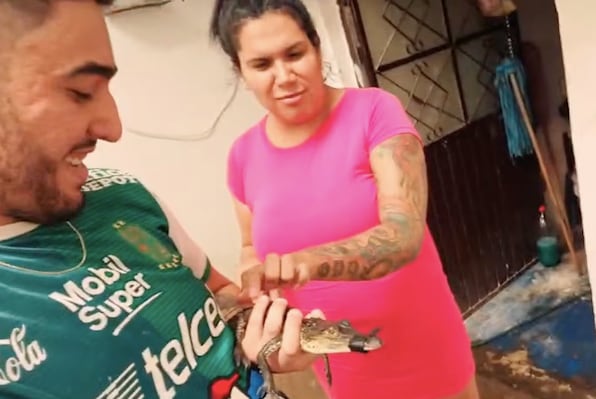 Kimberly La Más Preciosa es acusada de tráfico y maltrato animal por haber comprado un lagarto