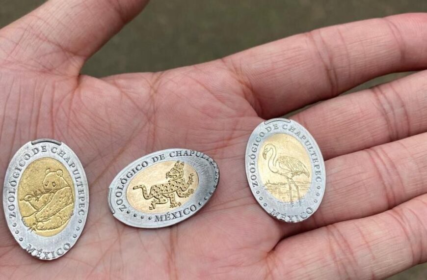 Zoológico de Chapultepec tiene nuevas monedas conmemorativas; precio y modelos disponibles