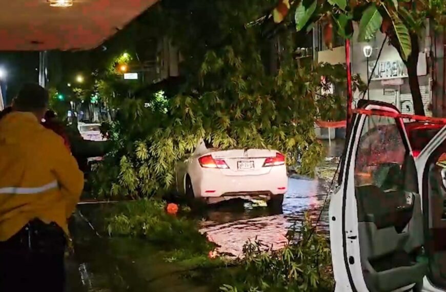 ¡Se libra de la muerte! Hombre se salvó de morir aplastado por un árbol tras tormenta en Zona Metropolitana de Guadalajara