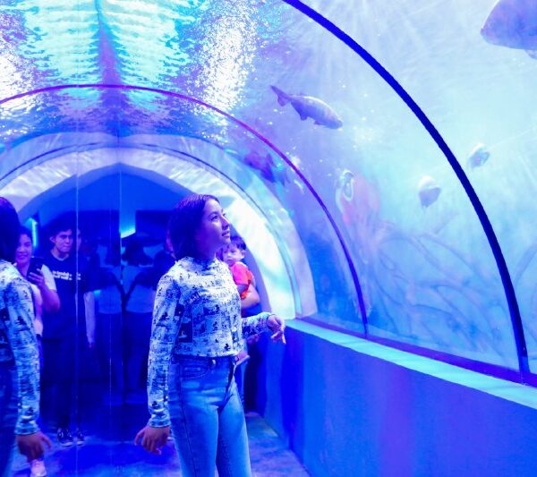 Invitan a los ciudadanos a descubrir el acuario de la ciudad durante vacaciones; exhortan a respetar el reglamento por el bien de las especies