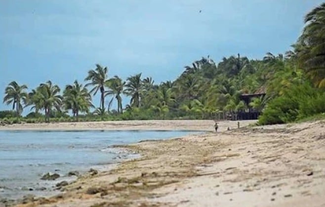 ¿Qué es Playa Alito? Exhiben a Alejandro Moreno por playa privada con permiso de Semarnat
