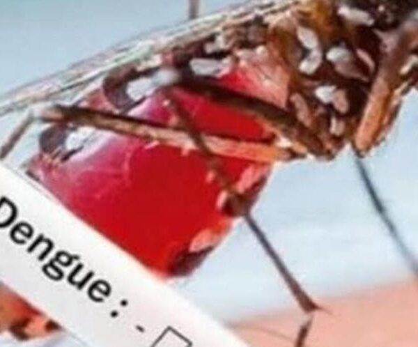 Minimizan aumento de casos de dengue