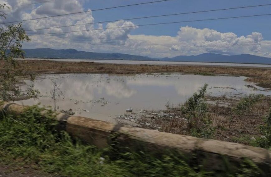 Lluvias no han ayudado en la recuperación de lago de Cuitzeo, Michoacán
