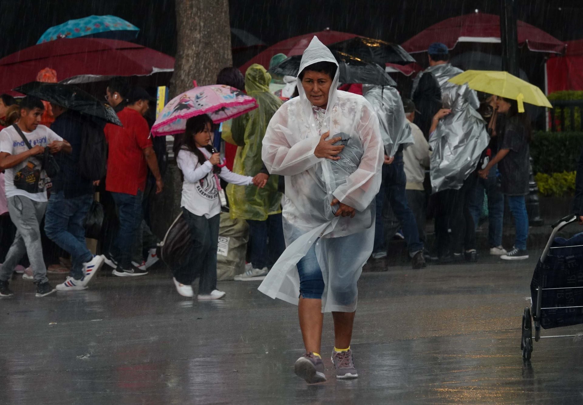 Lluvias al 2×1 en México: Ondas tropicales 11 y 12 afectarán estas entidades el fin de semana