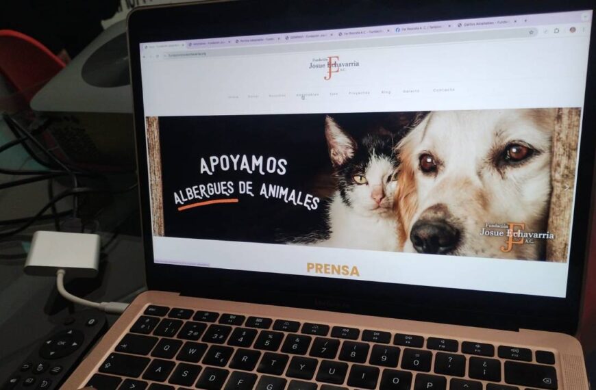 Nuevo sitio web en Tampico facilita la adopción de mascotas: Fundación Josué Echavarría