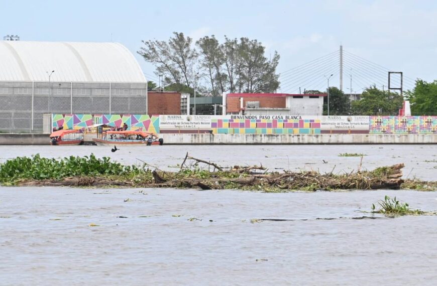 Emiten alerta ante crecimiento del río Pánuco: palizada y lirio son un riesgo constante [Fotos]