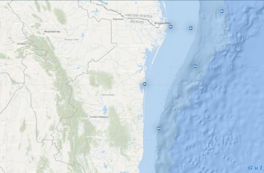 Tiburones en playas de Tamaulipas: monitoreo en tiempo real de cinco ejemplares