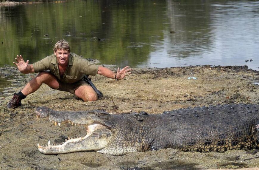 Steve Irwin y su visita a los ‘juanchos’ de Tampico, ¿qué dijo sobre los cocodrilos de Tamaulipas? [Video]