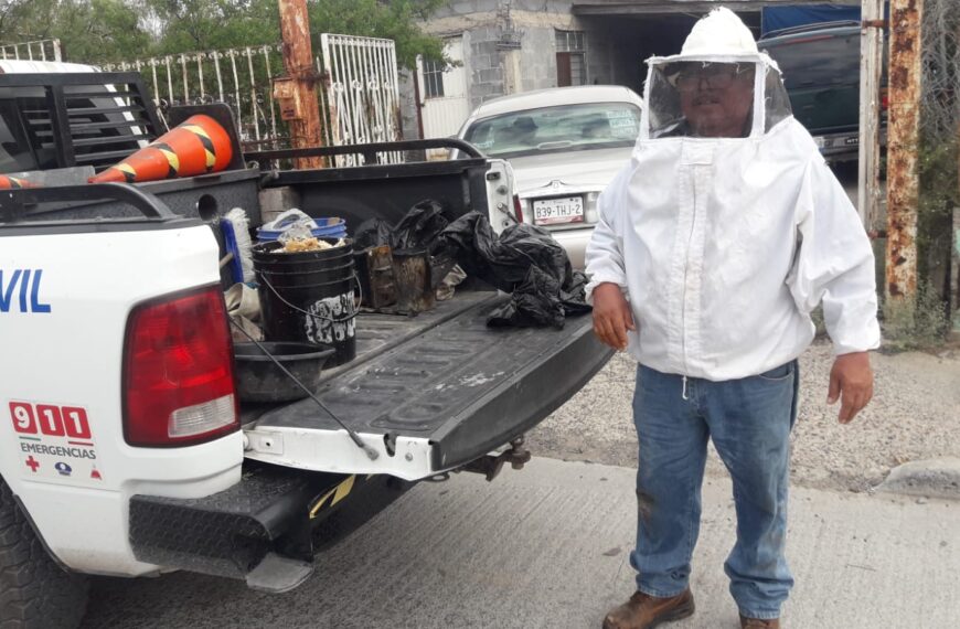 Exhorta gobierno municipal reportar enjambres de abejas para prevenir accidentes