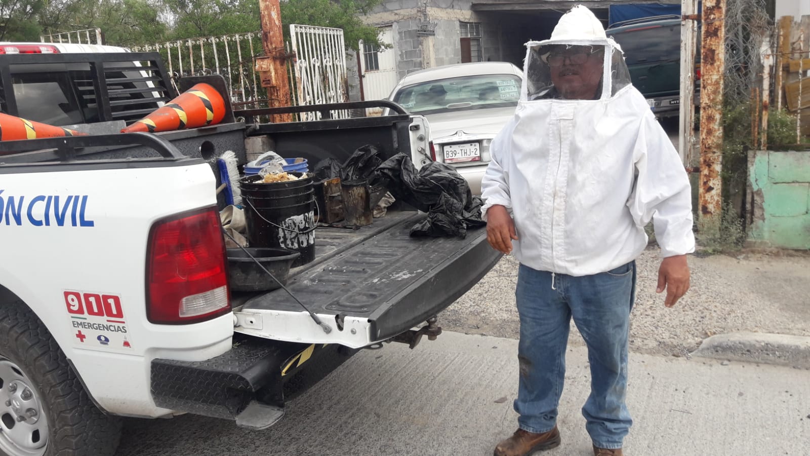 Exhorta gobierno municipal reportar enjambres de abejas para prevenir accidentes