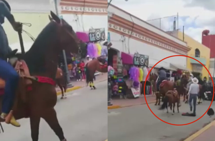 ¡De horror! Buscan a sujeto que atacó a machetazos a un caballo en Tlaxcala |VIDEO SENSIBLE