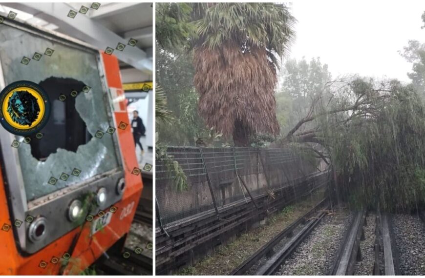 VIDEO: Árbol cae sobre tren de la Línea 5 del Metro CDMX