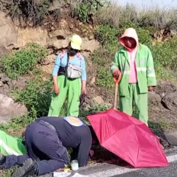 VIDEO: Atropellan a SEIS trabajadores de limpia en menos de una semana; así exponen su vida