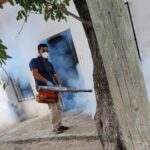 Registra Tamaulipas 279 casos de dengue e…