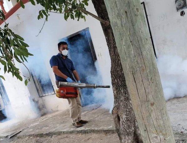 Registra Tamaulipas 279 casos de dengue e intensifica su campaña de descacharrización