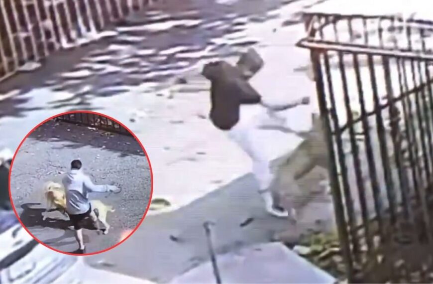 Jóvenes patean brutalmente a un perrito callejero en Culhuacán, tras ponerlo a pelear