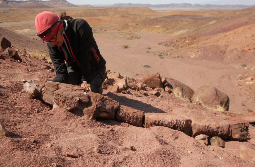 FOTO: Descubren fósil de “La cosa del pantano” en África; ¿cómo se veía?
