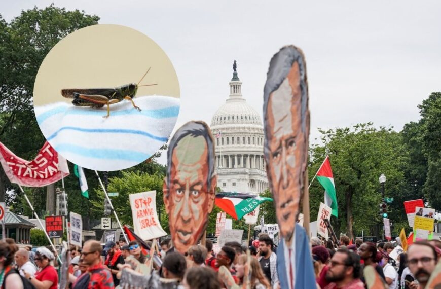 VIDEOS: Con grillos y gusanos, protestan contra Netanyahu en Estados Unidos