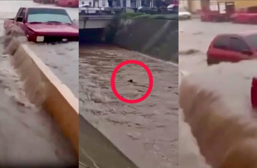 ¡Impactante!! VIDEO: Corriente se lleva a un hombre y varios autos en medio de las inundaciones en Hidalgo