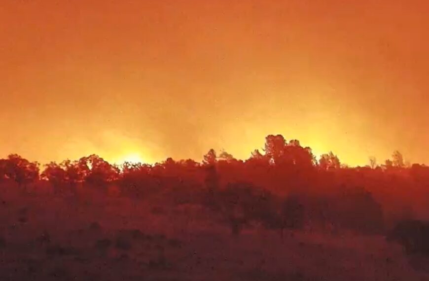 VIDEO: Incendio forestal en California obliga a miles a evacuar; van más de mil 600 hectáreas quemadas