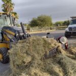 Realiza gobierno municipal constantemente limpieza y mantenimiento…