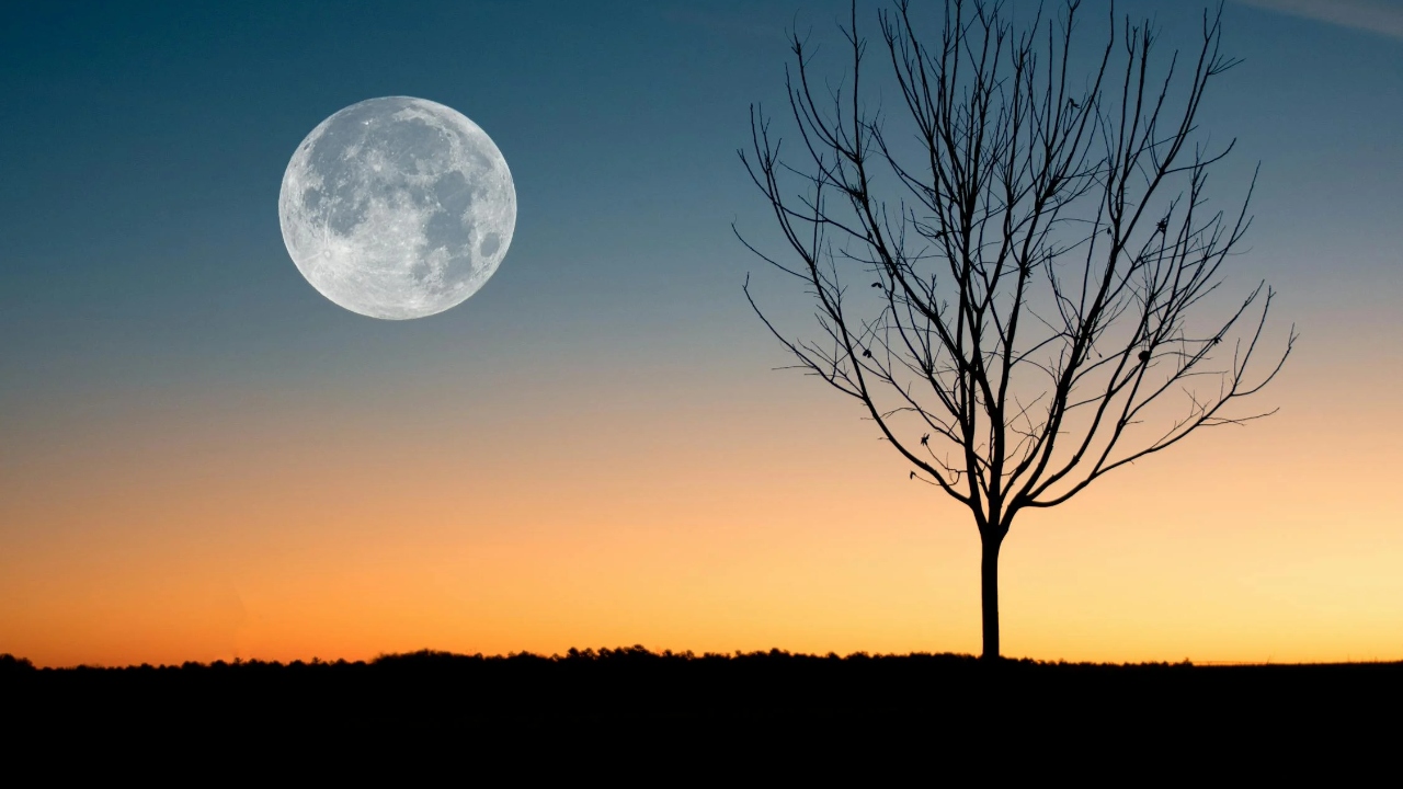 La fecha en que se verá la Luna de Ciervo 2024 desde México; tips para apreciarla