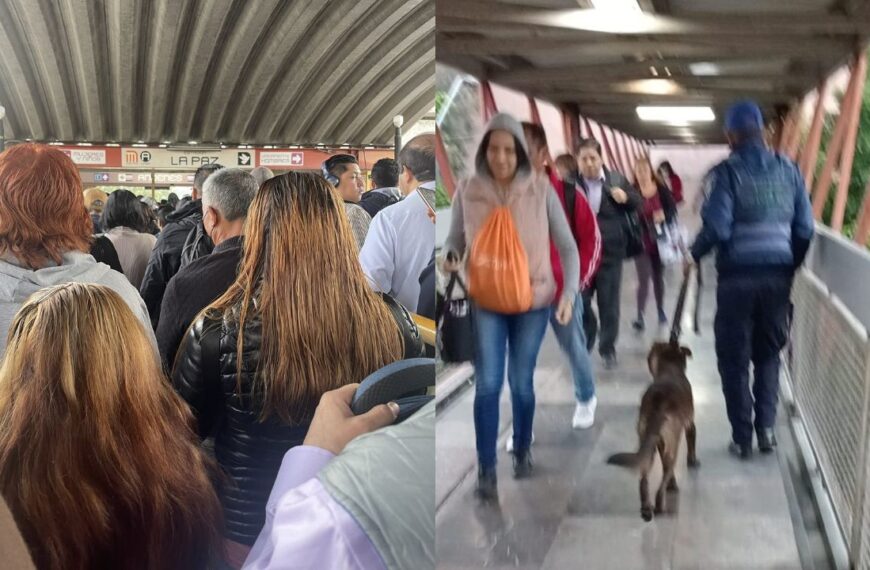 Se mete perrito en la Línea B: ¿Qué pasa en el Metro CDMX hoy miércoles 24 de julio?