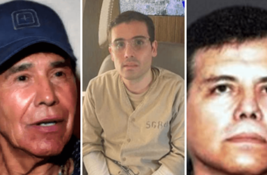 Líderes del narcotráfico detenidos y extraditados…