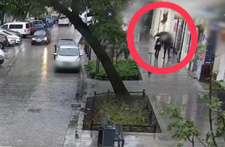 VIDEO: Perro aplasta a una mujer tras saltar por la ventana durante una tormenta en Polonia