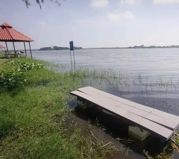 Las presas de Tamaulipas están cerca de alcanzar su capacidad total