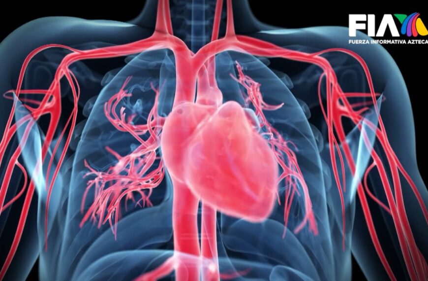 Reanimación cardio pulmonar avanzada: Salvando vidas en situaciones críticas
