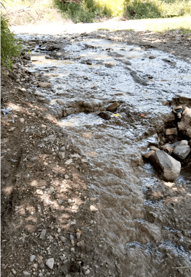 Aguas negras de la Colonia San Marcos contaminan el Río