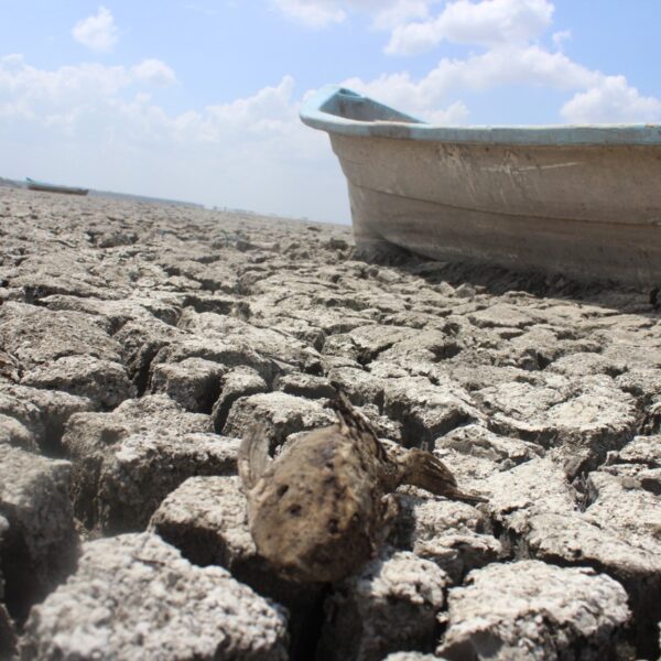 Tamaulipas ya tiene 25 municipios libres de sequía gracias a las lluvias recientes