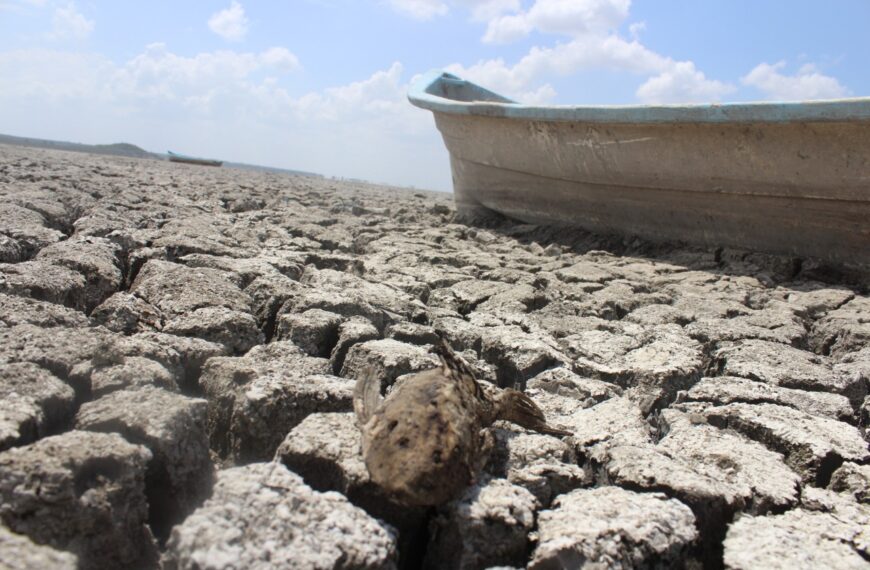 Tamaulipas ya tiene 25 municipios libres de sequía gracias a las lluvias recientes